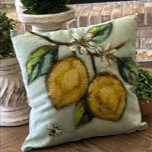 NEW! Cottage Farmhouse Lemon & Honey Bee Accent Throw Pillow - Picture 3 of 9